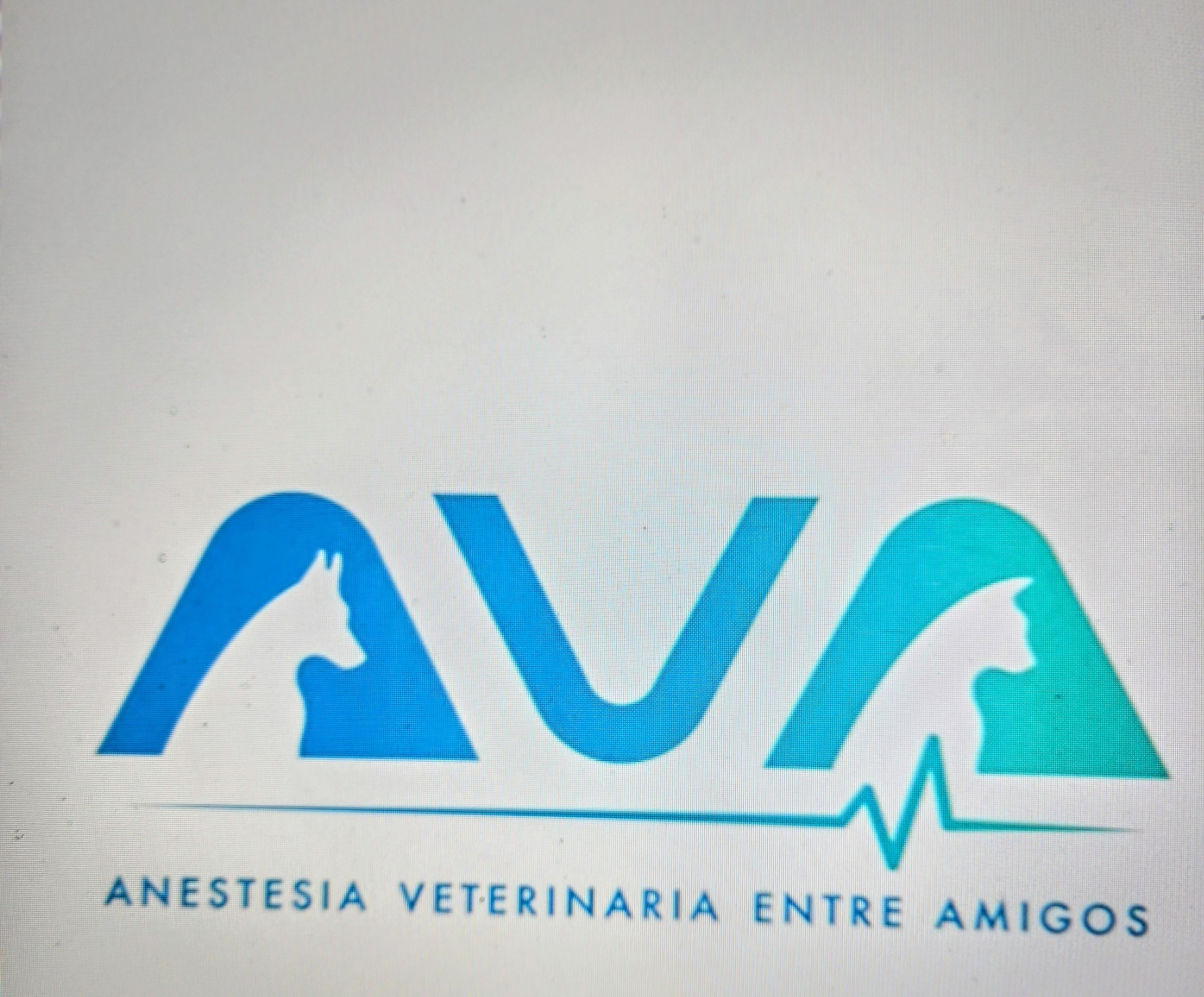AVA