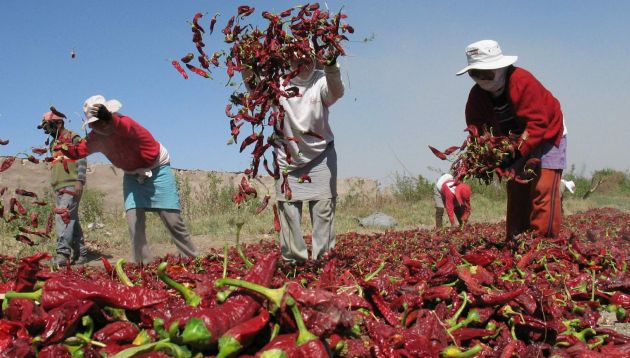 ADEX seÃ±alÃ³ que exportaciones deben crecer 15% anual para duplicarse