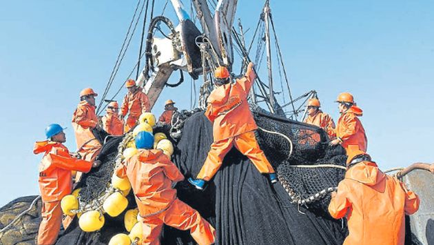 Sector pesquero creciÃ³ 30.59% en febrero
