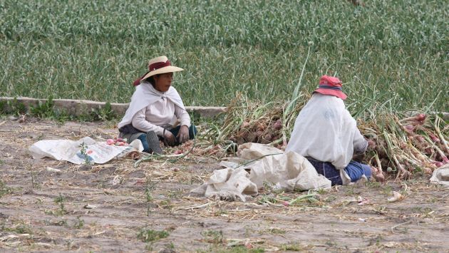 Ministerio de Agricultura ampliarÃ¡ el seguro agrario catastrÃ³fico