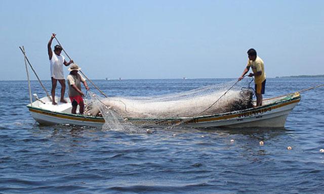 Sector pesca sustentarÃ­a el crecimiento del PBI en mayo