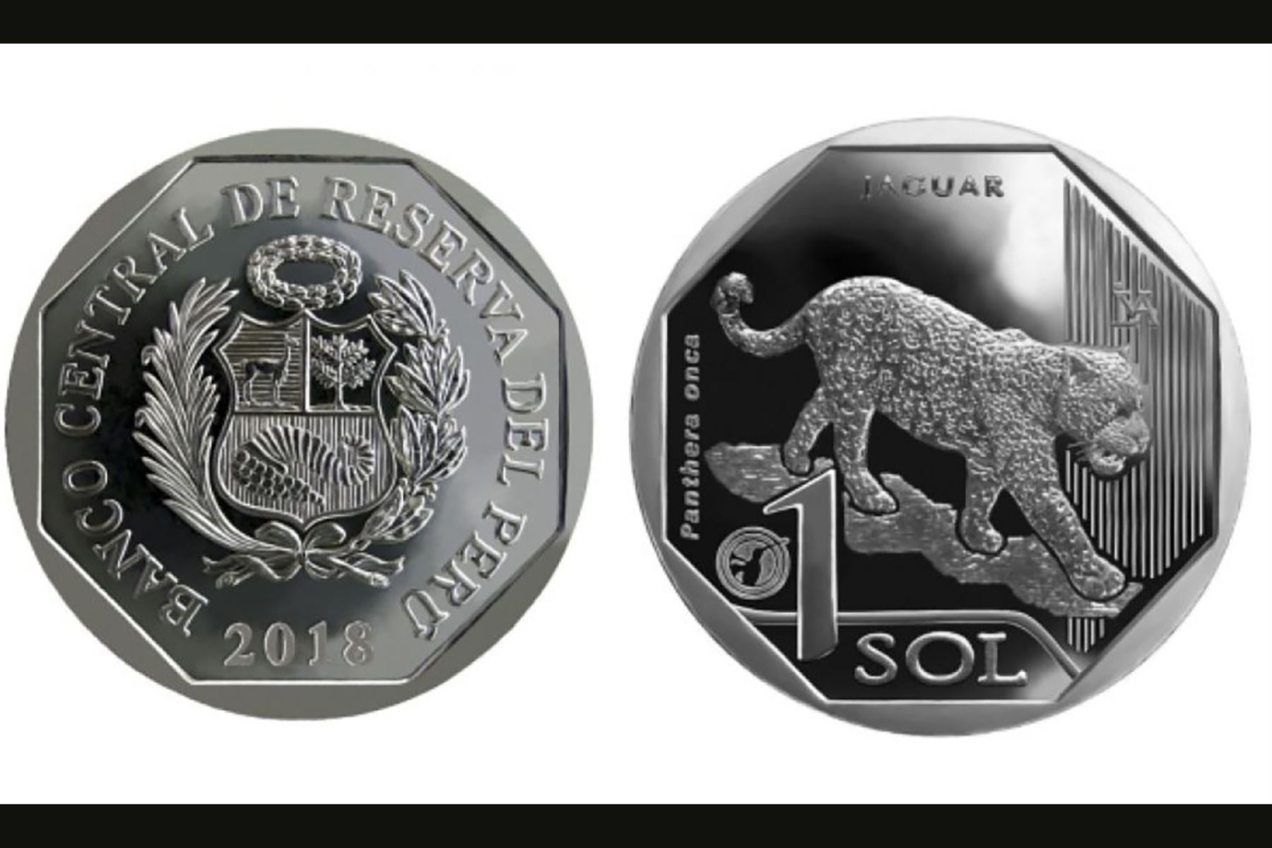 BCR pone en circulaciÃ³n nueva moneda de S/1 alusiva al jaguar